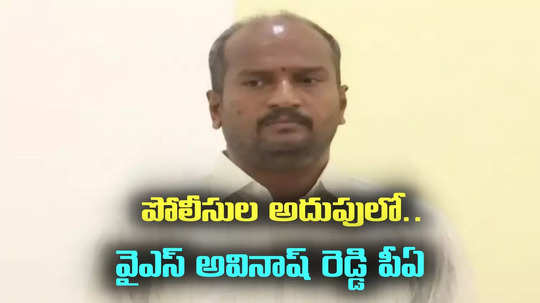 పోలీసుల అదుపులో వైఎస్ అవినాష్ రెడ్డి పీఏ.. కోర్టు నిర్ణయం వెలువడిన కొద్దిసేపట్లోనే!