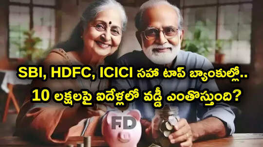 సీనియర్లకు బంపరాఫర్.. ఐదేళ్లకే చేతికి డబ్బులు.. టాప్-7 బ్యాంకుల్లో వడ్డీ రేట్లు ఇవే.. రూ. 10 లక్షలపై ఎంతొస్తుంది?