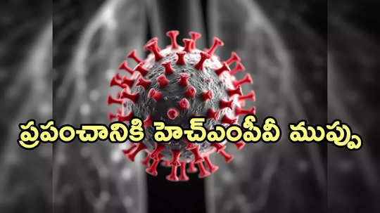 HMPV:శరీరంలో ఆ భాగంపైనే హెచ్ఎంపీవీ దాడి.. సంచలన అధ్యయనం