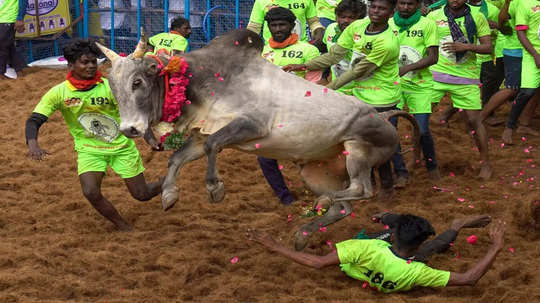 மதுரை பாலமேடு ஜல்லிக்கட்டு திருவிழா: பாதுகாப்பு ஏற்பாடுகள் தீவிரம்!