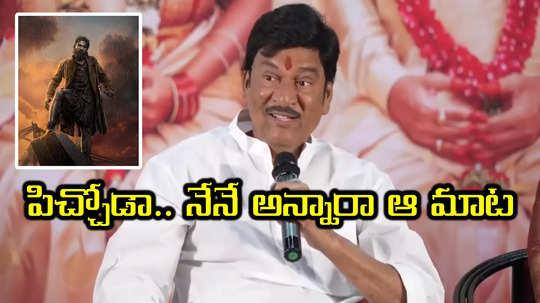 Pushpa 2 Controversy: పుష్పలో బన్నీ దొంగే కదా.. మహాత్ముడు కాదుగా.. మళ్లీ రాజేసిన రాజేంద్ర ప్రసాద్