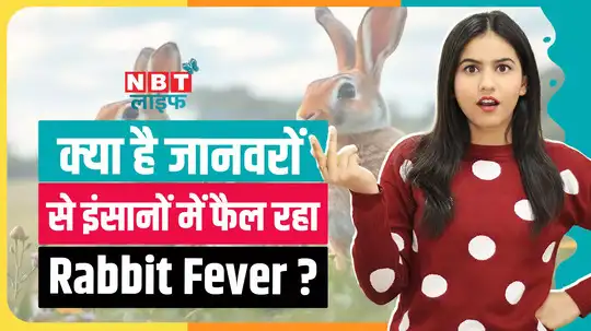 Rabbit Fever क्या है और इससे कैसे करें बचाव?, जानें
