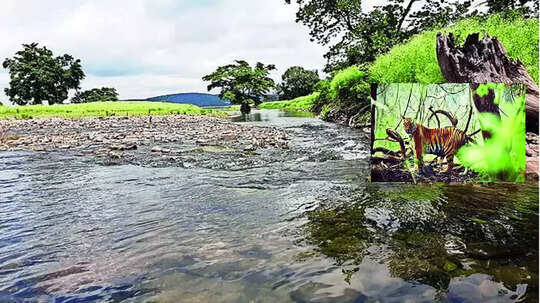 'इको-टुरिझम'ची फाइल बंद; वर्धा जिल्ह्यात तीन निसर्गसंपन्न स्थळांचा 'डीपीआर' निधीअभावी रखडला