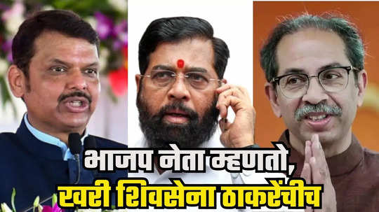 Uddhav Thackeray : शिंदेंनी शिवसेना चोरली, खरा पक्ष उद्धवजींचाच! ठाकरेंना सोडून भाजपात गेलेल्या नेत्याने खळबळ उडवली