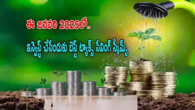 మ్యూచువల్ ఫండ్స్‌లో బెస్ట్ ఆప్షన్.. హైరిటర్న్స్‌తో పాటు.. రూ.1.50 లక్షల పన్ను ఆదా!