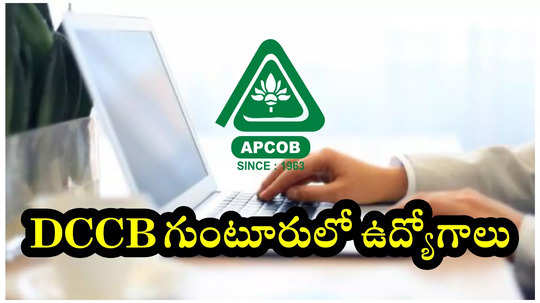 APCOB Jobs: ఆంధ్రప్రదేశ్‌ DCCB గుంటూరులో ఉద్యోగాలు.. డిగ్రీ, పీజీ అర్హత.. ప్రారంభంలో నెలకు రూ.44,610 వరకు జీతం