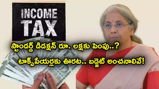 Income Tax: 'స్టాండర్డ్ డిడక్షన్ రూ. లక్షకు పెంపు.. సెక్షన్ 80c లిమిట్ రూ. 3.50 లక్షలు?'.. బడ్జెట్ అంచనాలివే..!