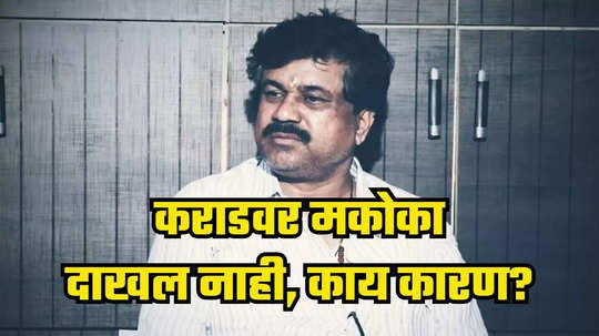 विष्णू चाटेला दोन दिवस CID कोठडी, वाल्मिक कराडवर मकोका दाखल नाही, काय कारण?