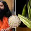 50 साल से नहीं पड़े बीमार, आज भी काले घने बाल, स्वामी रामदेव खाते हैं 3 सब्जी, सैकड़ों बीमारी की जड़ हैं 2 चीज