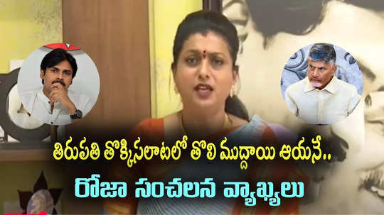 RK Roja: పవన్ కళ్యాణ్‌కు మేము ఏమైనా డబ్బులిచ్చామా?.. చెప్పండి మంత్రిగారూ!