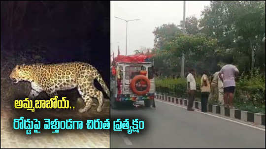 Tirupati: రోడ్డుపై చిరుత ప్రత్యక్షం.. బైక్ అదుపు తప్పి టీటీడీ ఉద్యోగికి తీవ్ర గాయాలు