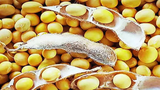 Soyabean Market: हमीभाव केंद्र १४ दिवसांपासून बंद; उरले ४ दिवस, १३३४ क्विंटल सोयाबीन पडून