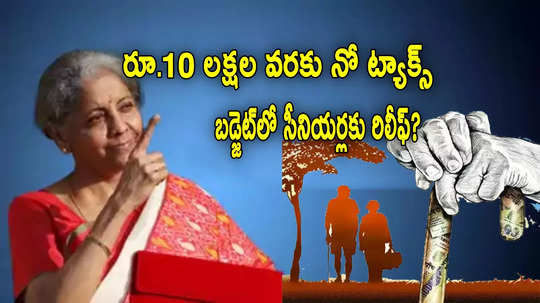 Income Tax: సీనియర్లకు బిగ్ రిలీఫ్.. రూ.10 లక్షల వరకు నో ట్యాక్స్? బడ్జెట్ అంచనాలివే..!