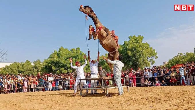 ऊंट नृत्य और दौड़ बने मुख्य आकर्षण