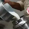 Fact Check: फिटनेस इंफ्लुएंसर का पोस्ट बंद करो दूध पीना, गिनाए ढेरों नुकसान, डॉक्‍टर ने खोली एक-एक दावे की पोल