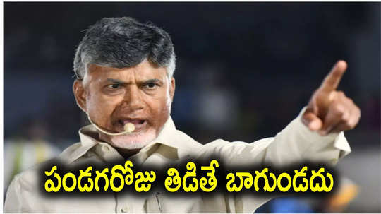 Chandrababu: సంక్రాంతి పండగవేళ సీఎం చంద్రబాబు ఆగ్రహం.. సొంత గ్రామంలో సీరియస్