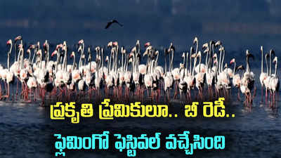 ఏపీలో నాలుగేళ్ల తర్వాత మళ్లొచ్చిన పండుగ.. ఘనంగా ఏర్పాట్లు!