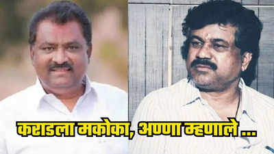 Walmik karad : वाल्मिक कराडवर मकोका दाखल झाल्यावर सुरेश धसांची थोडक्यात प्रतिक्रिया, म्हणाले...