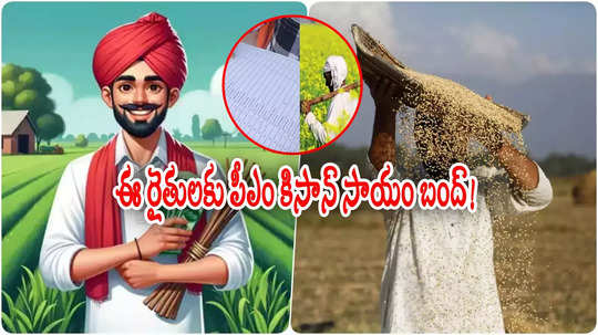 PM Kisan: ఆ రైతులకు పీఎం కిసాన్ సాయం రూ.6 వేలు కట్.. లిస్ట్‌లో మీరున్నారేమో చెక్ చేసుకోండి!