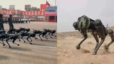 Indian Army Dog Mule: भारतीय सैन्य दिनाच्या परेडमध्ये 'यांत्रिक श्वानाची' कवायत, खास वैशिष्ट्यांसहित शत्रूचा खात्मा करण्याची ताकद