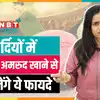 Benefits of Pink Guava: जा रहे है महाकुंभ में तो जरूर खाएं गुलाबी अमरूद, मिलेंगे कई फायदे!