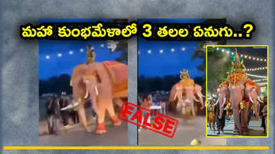 మహా కుంభమేళాలో 3 తలల ఏనుగు సంచరిస్తుందా? ఈ వైరల్ వీడియోలో నిజమెంత?