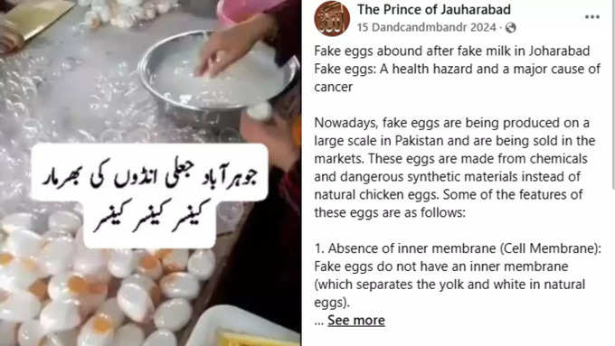 fake eggs 3