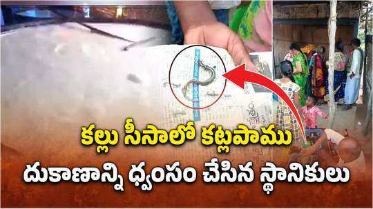 Viral Video: కల్లు సీసాలో కట్లపాము పిల్ల.. గడ్డి పోచ అని తీసి పారేయబోతే..