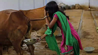 கோமியம் சிறந்த மருத்துவ குணம் கொண்டது... சென்னை ஐஐடி இயக்குநர் காமகோடி சர்ச்சை பேச்சு!