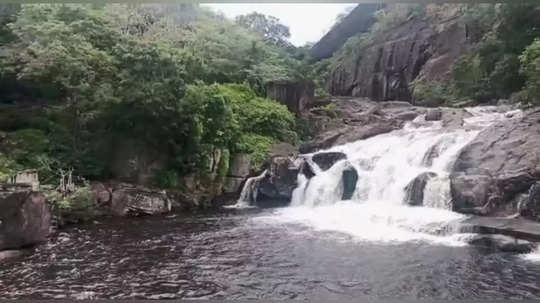 களக்காடு தலையணையில் நீர்வரத்து அதிகரித்துள்ளதால் சுற்றுலா பயணிகள் குளிக்க தடை!