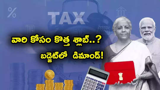 Budget 2025: ఆ ఆదాయ వర్గానికి కొత్త శ్లాబ్..? బడ్జెట్‌లో నిర్మలమ్మ ప్రకటన ఉంటుందా? డిమాండ్ ఇదే..