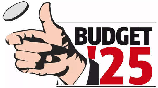 Income Tax Budget 2025: आयकर कायद्यातील नियम बदलणार, बजेटमध्ये सर्वसामान्यांना मिळणार मोठं गिफ्ट; असा मिळेल दिलासा