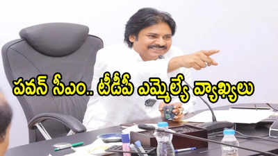 పవన్ కళ్యాణ్‌కు ముఖ్యమంత్రి పదవి ఇస్తే స్వాగతిస్తా.. టీడీపీ ఎమ్మెల్యే ఆసక్తికర వ్యాఖ్యలు