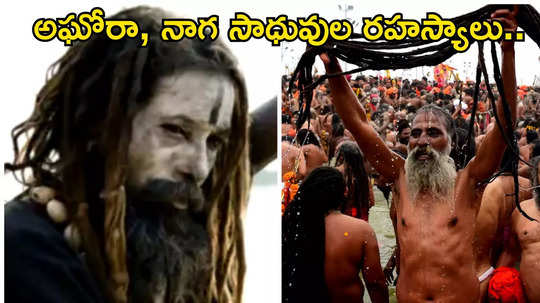 Maha Kumbh Mela 2025 అఘోరాలు, నాగసాధువుల మధ్య ఉన్న తేడాలేంటి... వీరు ఎక్కడుంటారు.. ఏం తింటారో తెలుసా...