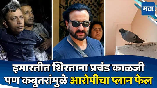 Saif Ali Khan: कबुतरांच्या विष्ठेमुळे आरोपीचा प्रयत्न फसला; सैफचा हल्लेखोर 'दिसला' अन् सगळा डाव फिस्कटला