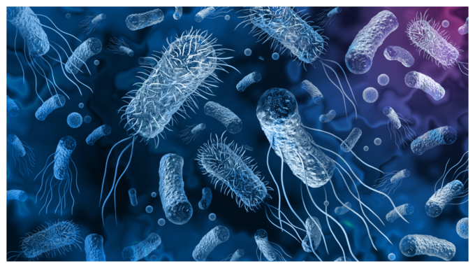 H5N1 ಒಬ್ಬರಿಂದ ಇನ್ನೊಬ್ಬರಿಗೆ ಹೇಗೆ ಹರಡುವುದು