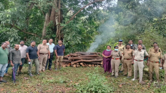 தமிழக,கேரள எல்லையில் அழுகிய நிலையில் கிடந்த புலி - அடுத்தடுத்து 2 புலிகள் உயிரிழப்பால் வன ஆர்வலர்கள் அதிர்ச்சி!