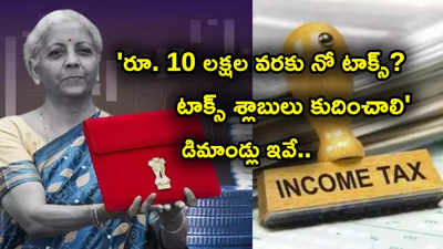 బడ్జెట్ 2025 విష్‌లిస్ట్ ఇదే.. టాక్స్ రిబేట్ రూ. 10 లక్షలు.. స్టాండర్డ్ డిడక్షన్ రూ. లక్షకు పెంపు? శ్లాబులు కుదింపు!