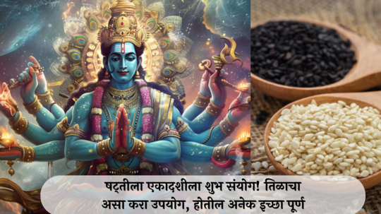 Shattila Ekadashi 2025 : षट्तीला एकादशीला शुभ संयोग! तिळाचा असा करा उपयोग, होतील अनेक इच्छा पूर्ण