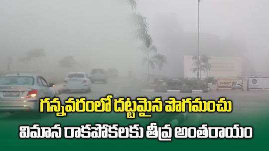 విజయవాడ ఎయిర్‌‌పోర్ట్‌ను కమ్మేసిన పొగమంచు.. విమానాల రాకపోకలకు అంతరాయం