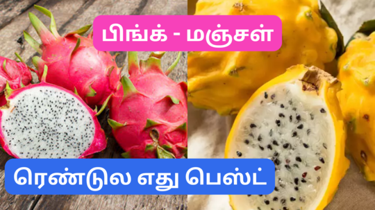 பிங்க் நிற டிராகன் பழத்தை விட மஞ்சள் நிற டிராகன் பழத்தில் அப்படியென்ன சத்துக்கள் அதிகமா இருக்குனு தெரியுமா? வாங்க தெரிஞ்சிக்கலாம்