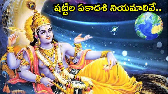 Shattila Ekadashi 2025 షట్టిల ఏకాదశి నాడు ఏం చేయాలి.. ఏమేం చేయకూడదు.. ఉపవాస దీక్ష నియమాలేంటో తెలుసుకోండి...