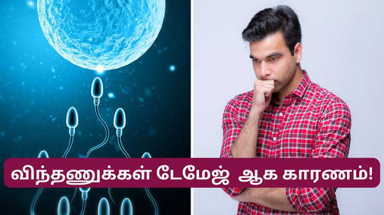 தினமும் இந்த  8 விஷயத்தை சரியா செய்தீங்கன்னா விந்தணுக்கள் நல்லா இருக்குமாம்,  இனி ஃபாலோ பண்ணுங்க!