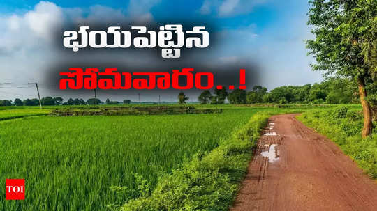 పచ్చని పల్లెటూరును భయపెట్టిన ఎర్ర జాకెట్లు.. అసలక్కడ ఏం జరిగిందీ?