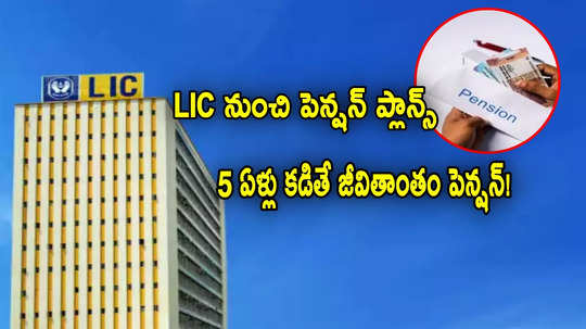 LIC నుంచి 4 బెస్ట్ ప్లాన్స్.. చేరితే నెల నెలా పెన్షన్.. ఏ స్కీమ్ ఎలా పూర్తి వివరాలివే..!