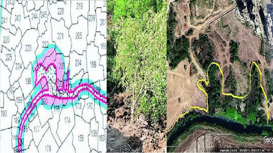 Mumbai: सीआरझेड नकाशांत दिशाभूल; महामुंबई परिसरात खारफुटी क्षेत्र वगळल्याचा पर्यावरणप्रेमींचा आरोप