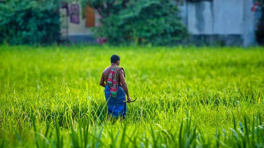 അതിദരിദ്രർക്ക് പട്ടയ വിതരണം; മുഴുവൻ പേർക്കും മാർച്ച് മാസത്തിനകം പട്ടയം, നടപടികൾ വേഗത്തിലാക്കാൻ മന്ത്രിയുടെ നിർദേശം