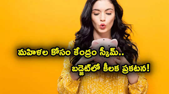 Womens Scheme: మహిళల కోసం కేంద్రం గొప్ప స్కీమ్.. మార్చి 31 లాస్ట్ డేట్.. బడ్జెట్‌లో కీలక ప్రకటన?