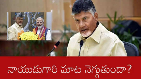 Union Budget 2025: ఢిల్లీలో నాయుడు గారి మాట నెగ్గుతుందా? ఆ లక్ష కోట్లు దక్కేనా?