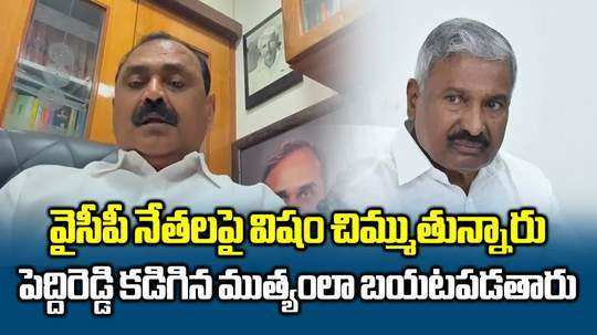 పెద్దిరెడ్డిపై పనికట్టుకొని విష ప్రచారం: వైసీపీ నేత భూమన ఫైర్